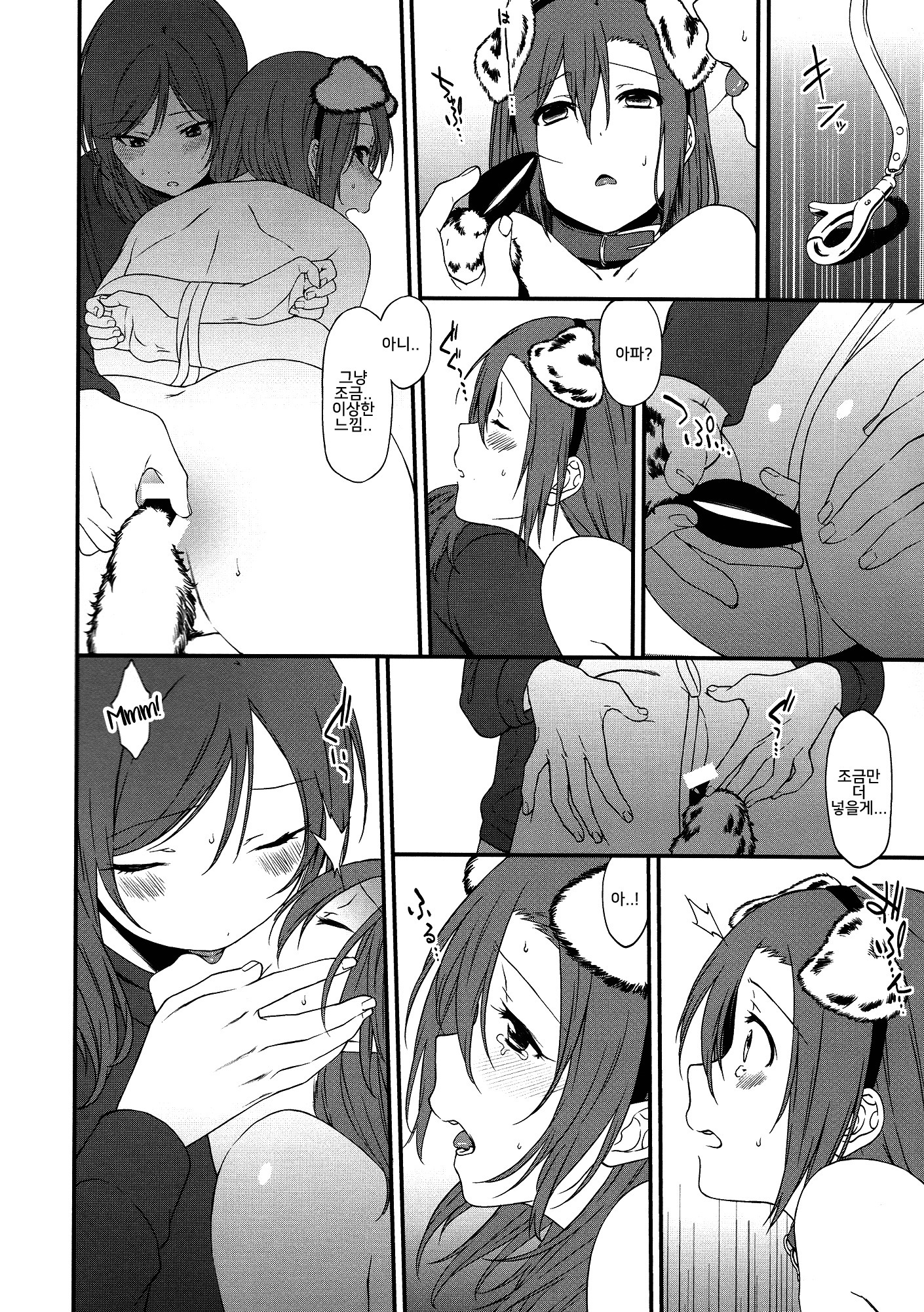 犬の本懐、しつけの本懐犬の欲望としつけの現実