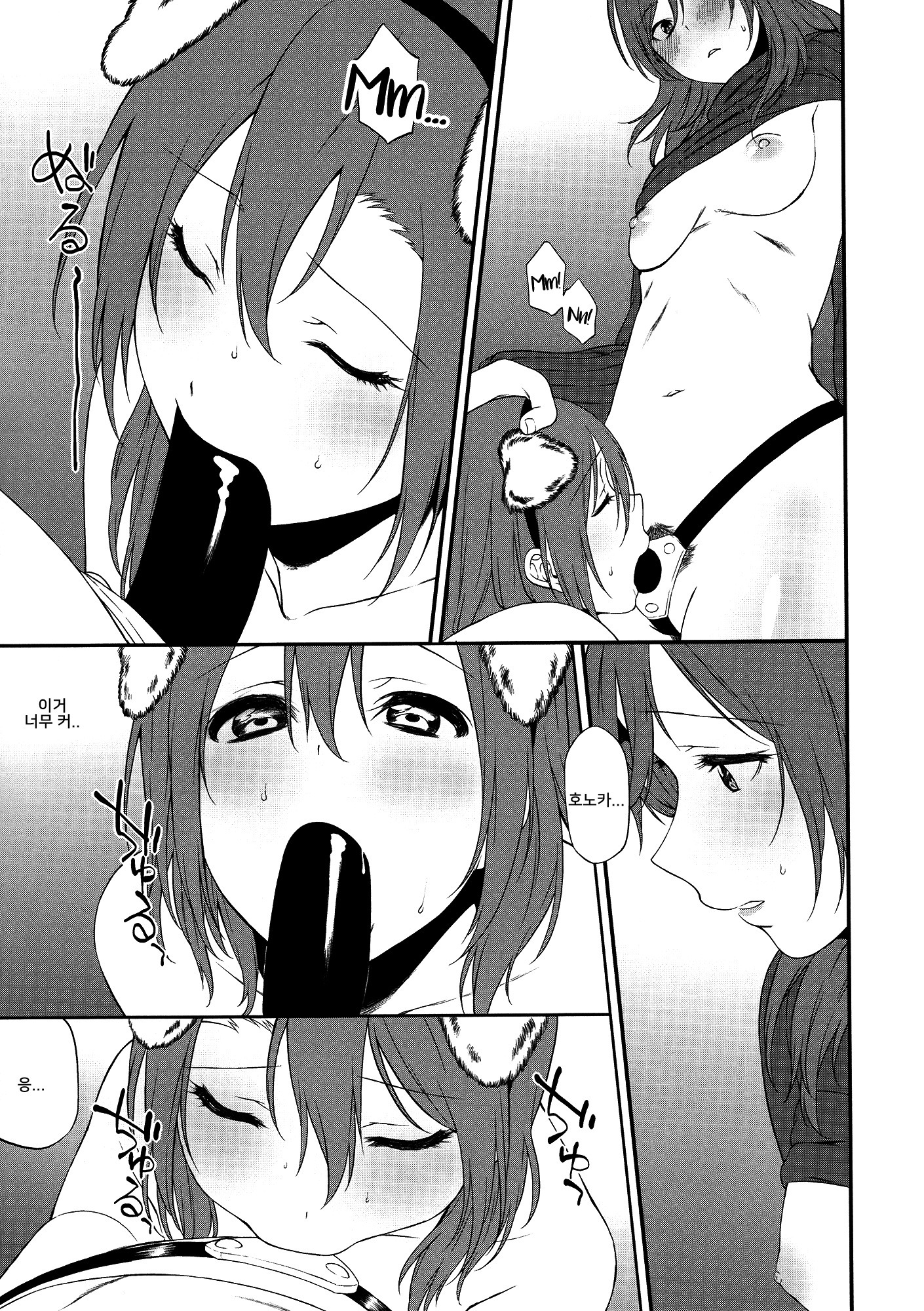 犬の本懐、しつけの本懐犬の欲望としつけの現実