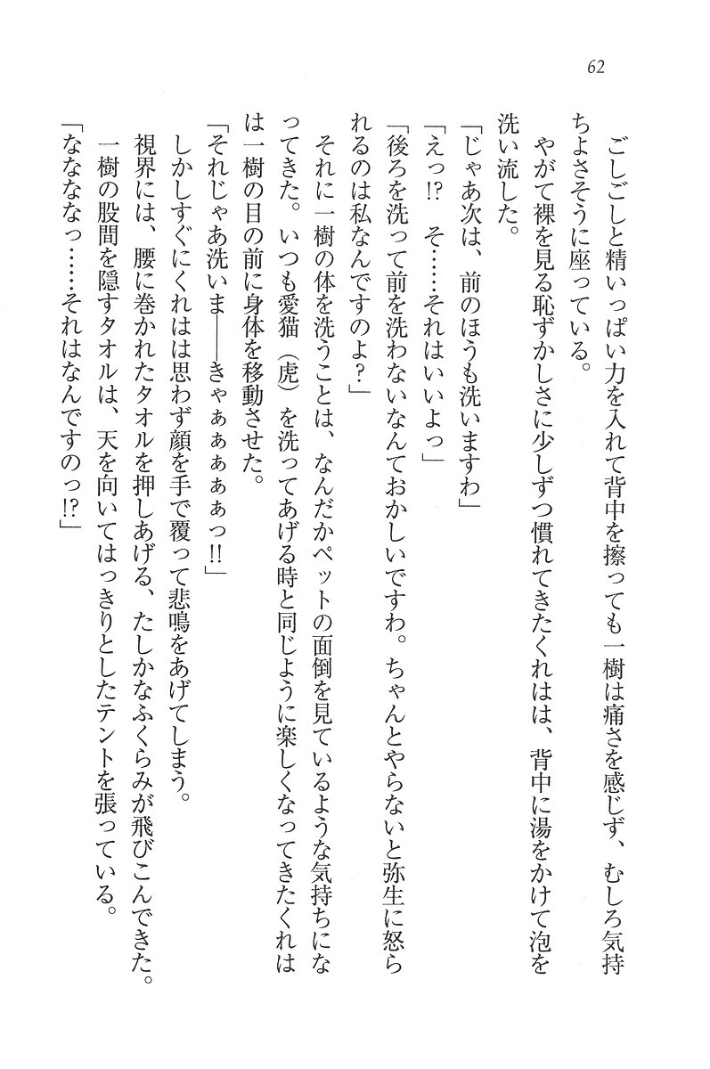 お嬢様はメイド様!？