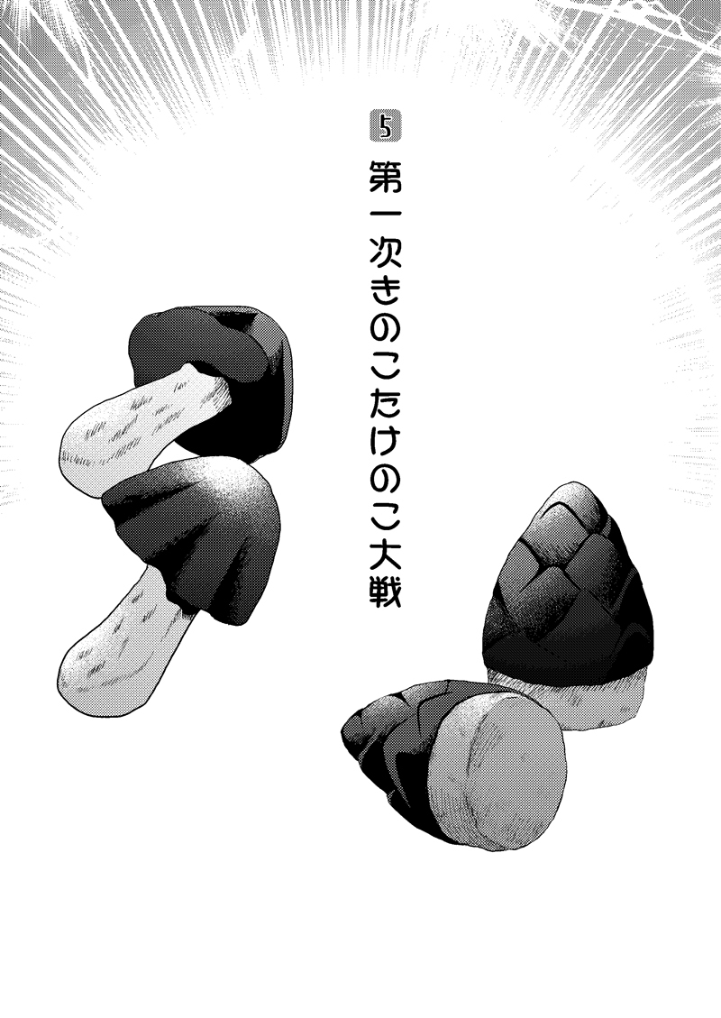 木の葉金星道織の書けい