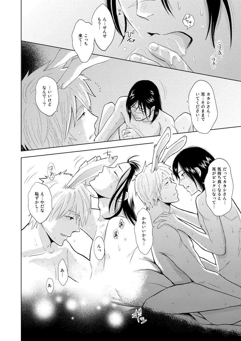 木の葉金星道織の書けい