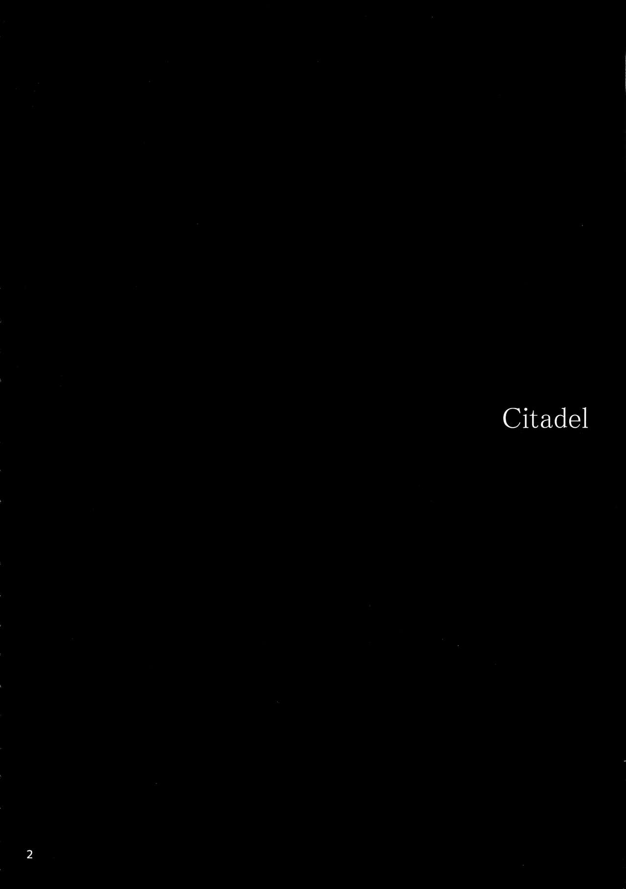 (C97) [furuike (スミヤ)] Citadel (ロード・エルメロイII世の事件簿)
