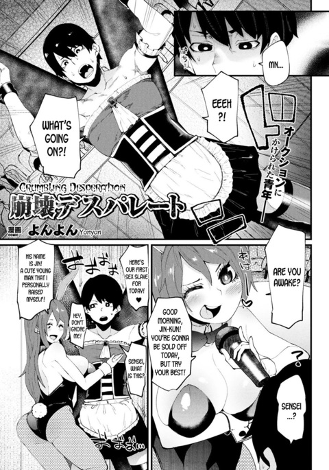 Houkai Desperate |崩壊する絶望