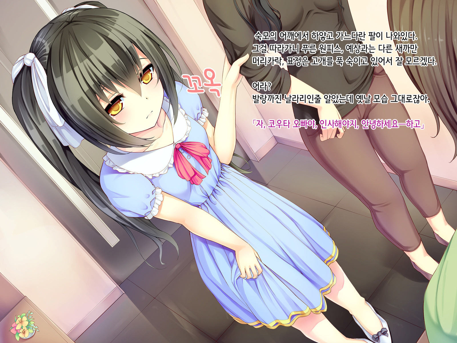 イトコちゃん、イラシャイ