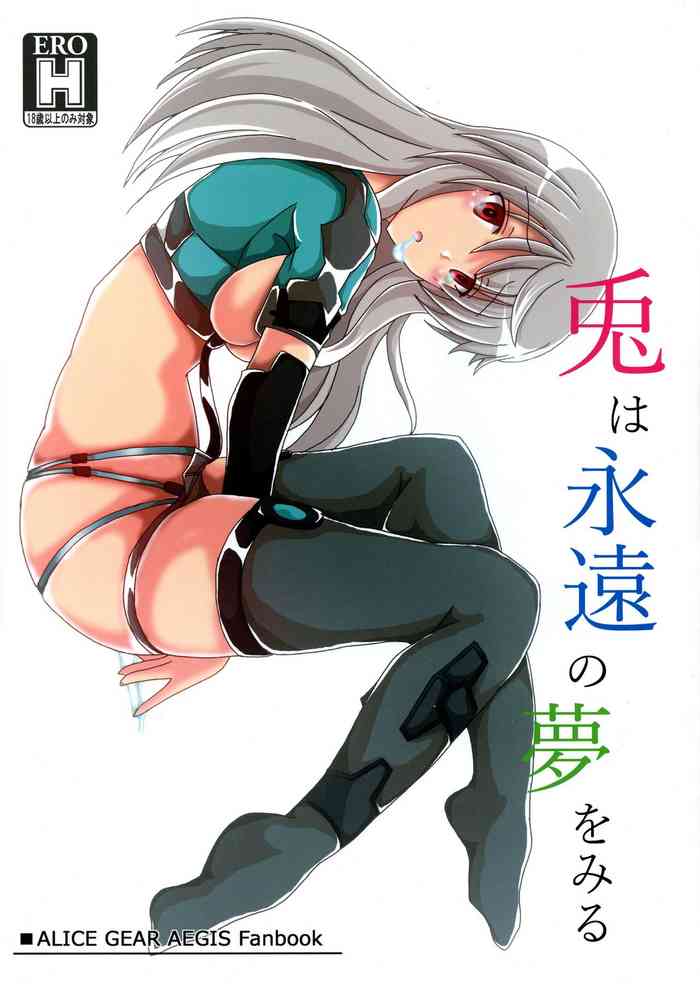 (スクランブル宙域調査任務 No.19X427) [D☆G (MoTo)] 兎は永遠の夢をみる (アリス・ギア・アイギス)