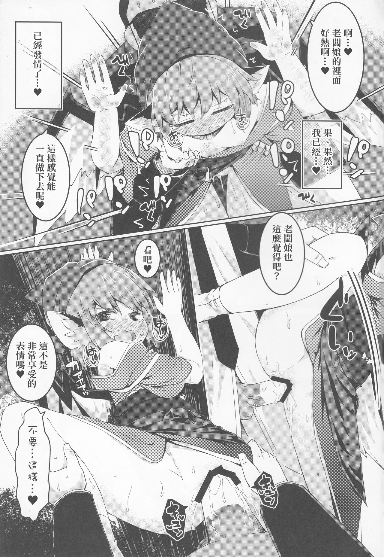 (例大祭16) [らーめんらいす (らじー)] 借禁鳥 (東方Project) [中国翻訳]