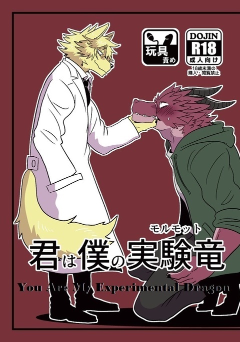 あなたは私の実験的なドラゴンです|キミはボクノジッケンリュウ