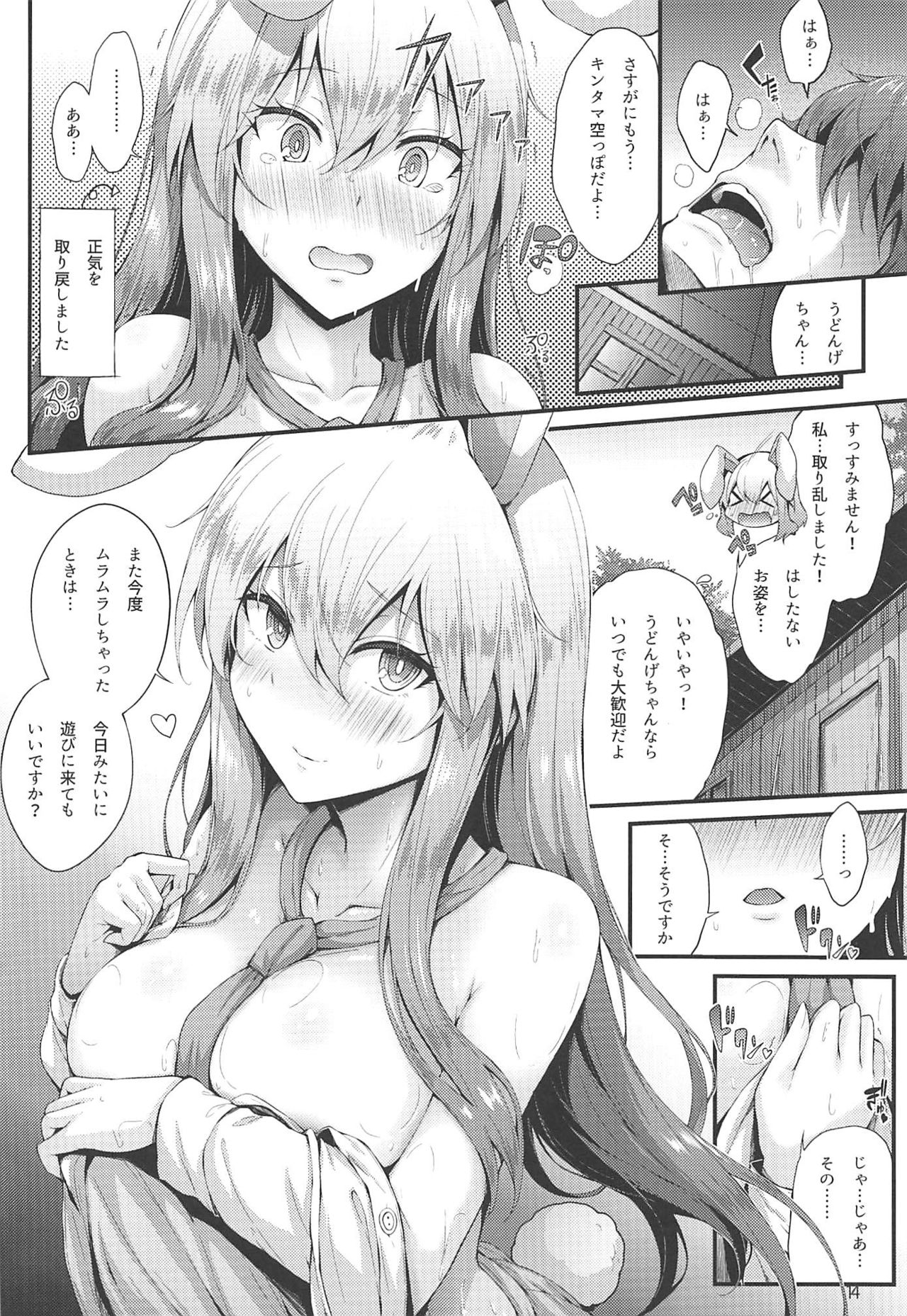 (秋季例大祭6) [YuKi-IRo (ゆきうさぎ。)] みだれうさぎ (東方Project)