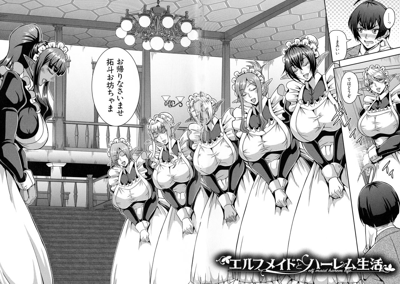 [三船誠二郎] エルフハーレム物語