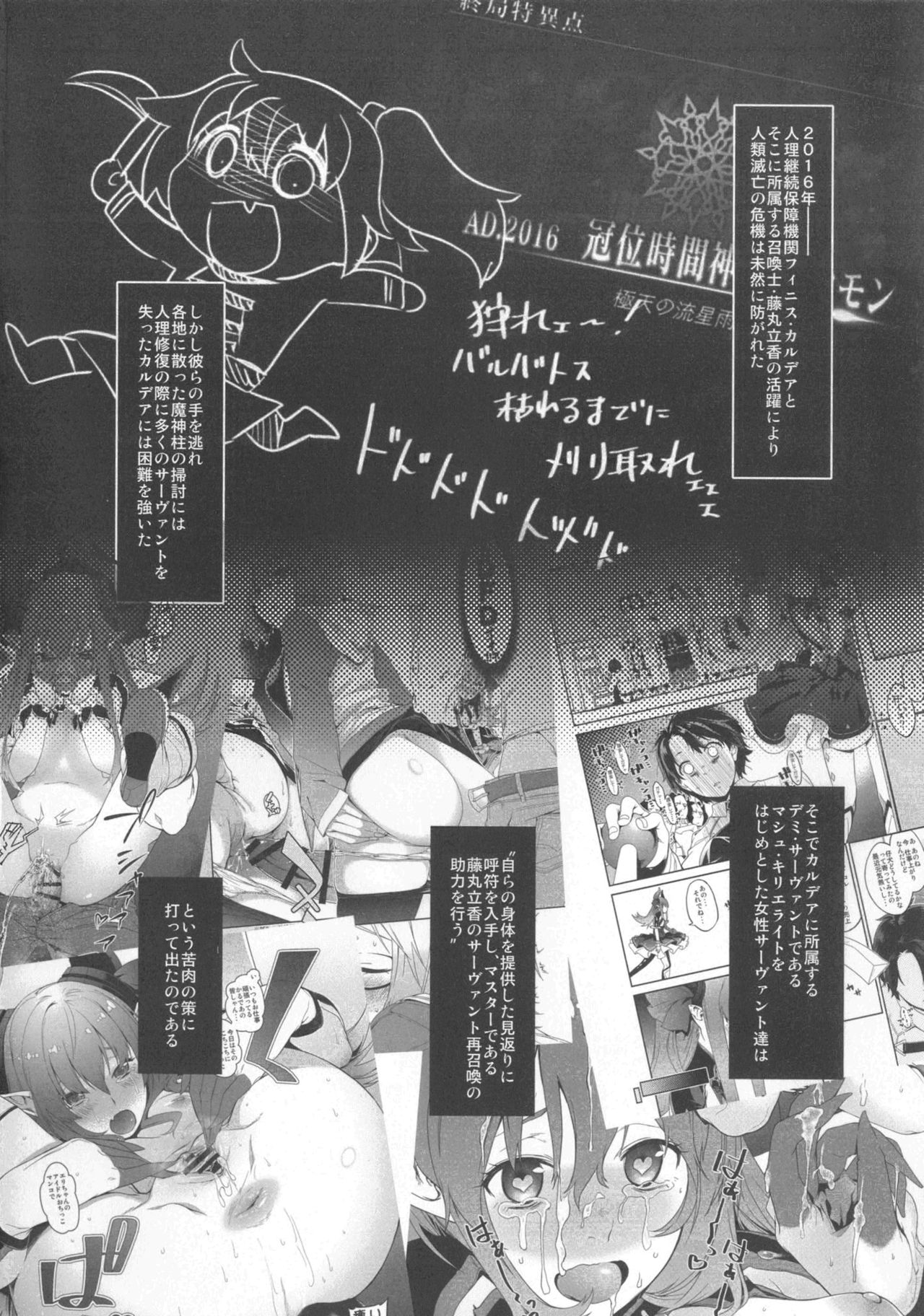 (C92) [MARCH (水口鷹志)] シールダーにもある弱点2 (Fate/Grand Order)