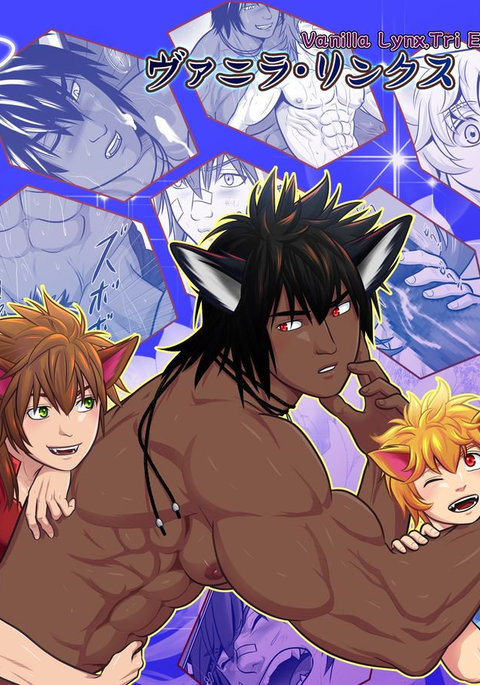 バニラリンクス、トライエッジ2