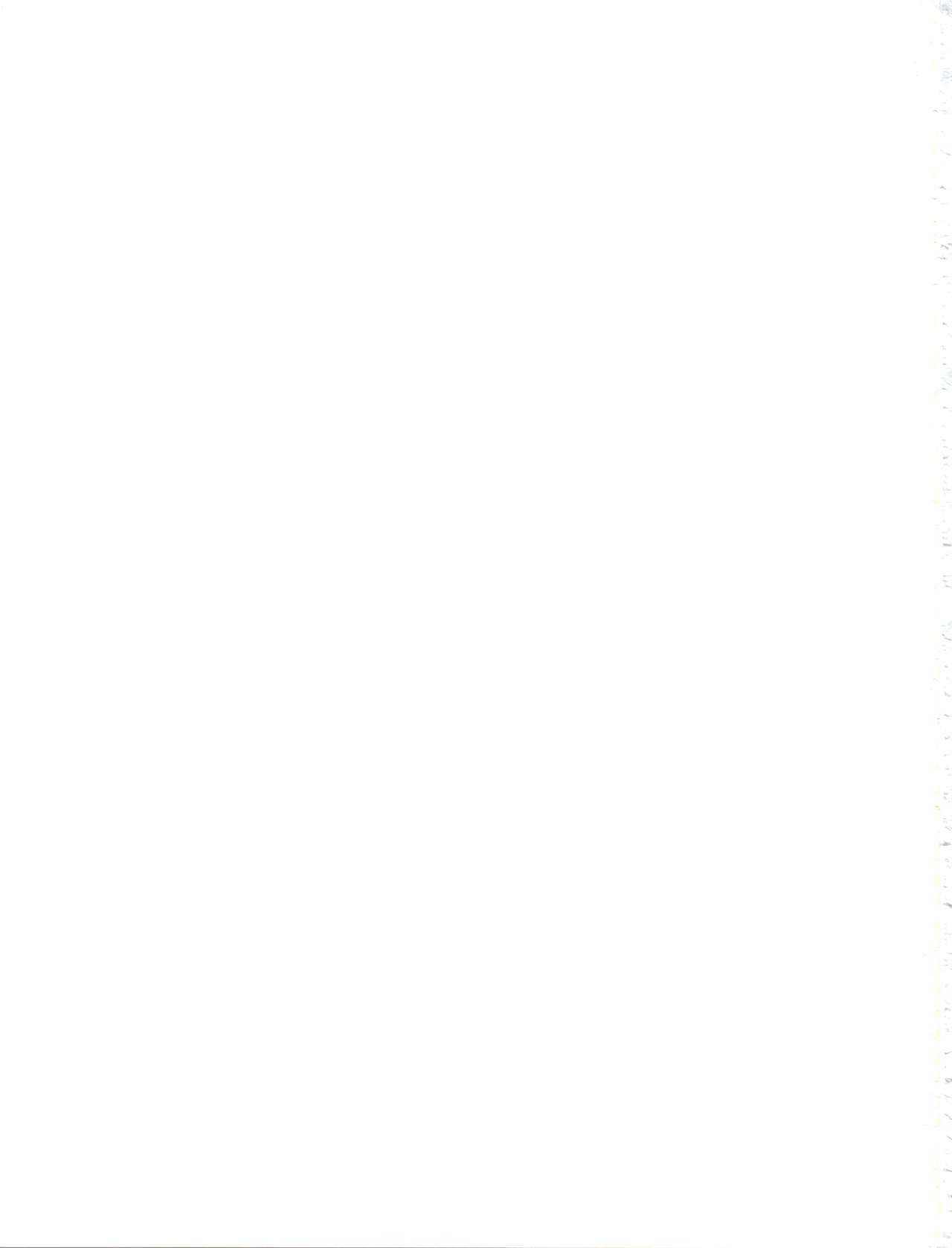 (C93) [オールドスクールアカデミー (雨珠秋比人)] 不思議さんのHENTAI☆MAHOH フタナリ編 (魔法の天使クリィミーマミ 、魔法のスターマジカルエミ、魔法のアイドルパステルユーミ、魔法の妖精 ペルシャ、魔法のステージファンシーララ)