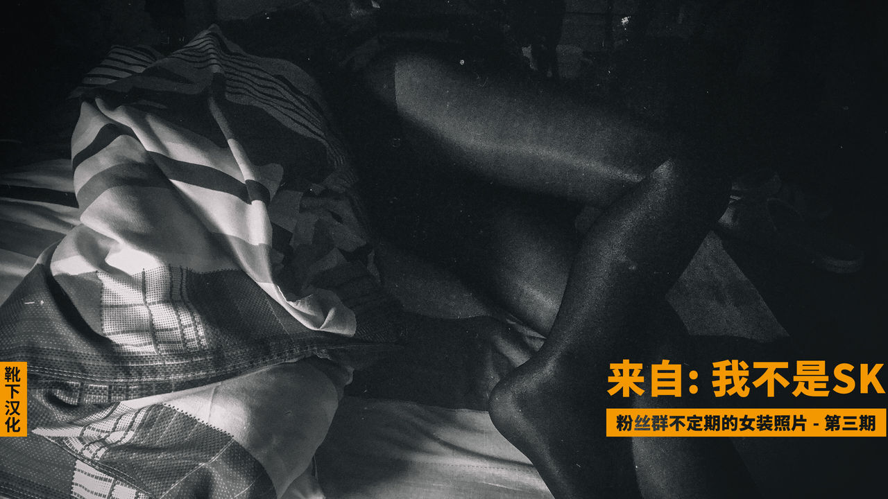 (紅楼夢8) [ドットエイト (さわやか鮫肌)] 幻想郷淫行処罰規定条文 (東方Project) [中国翻訳]