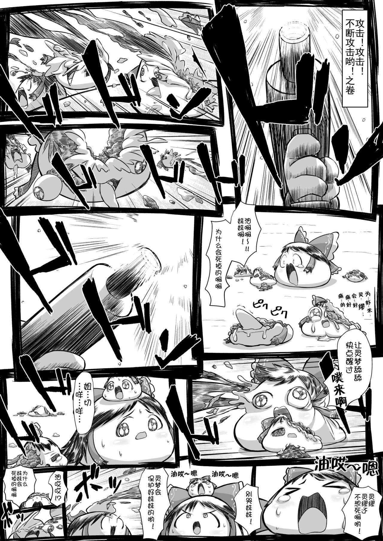 [takumi] ゆっくり in 家 (ゆっくり) [蝶咲个人汉化]