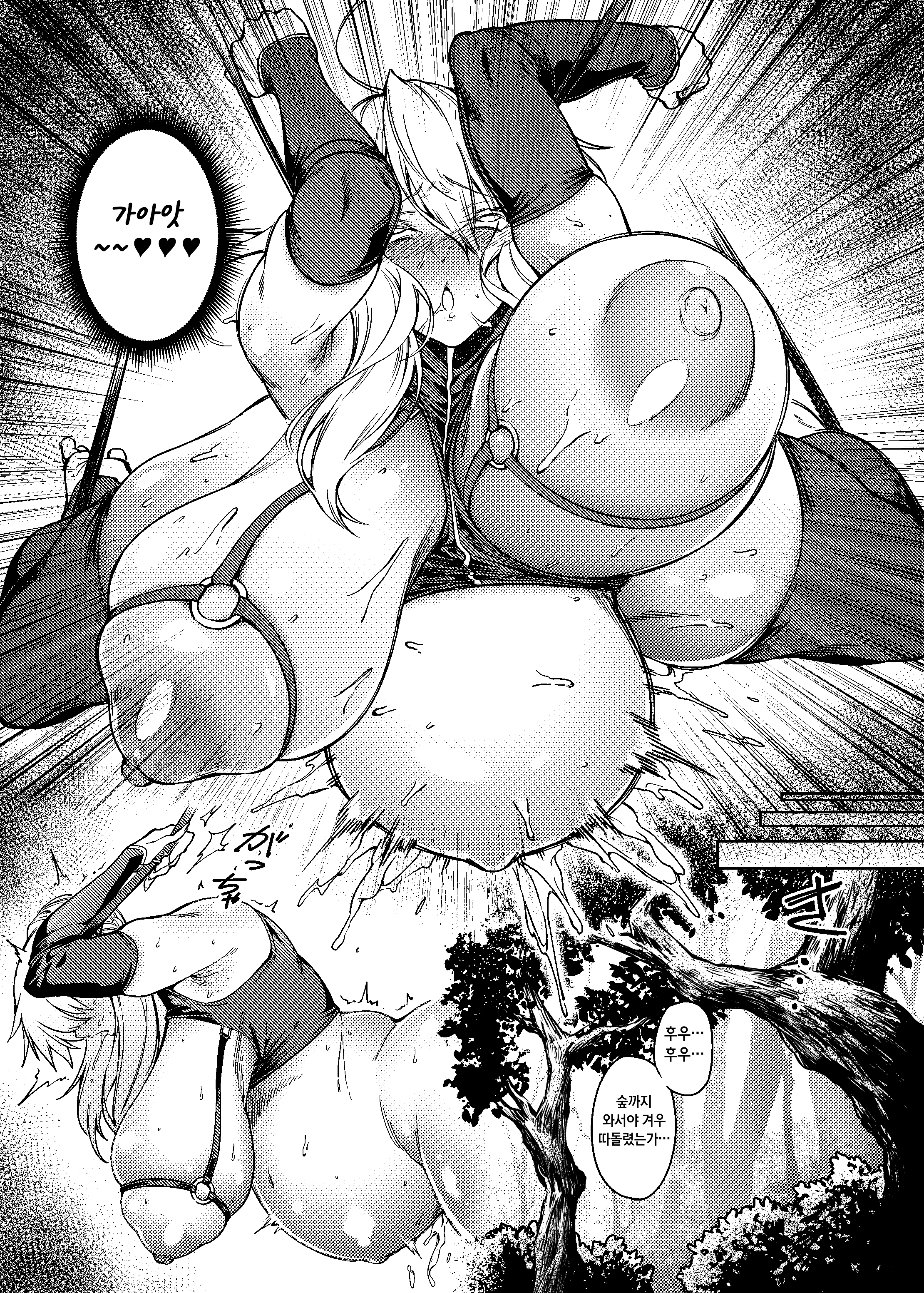 白馬にノラレル岸3