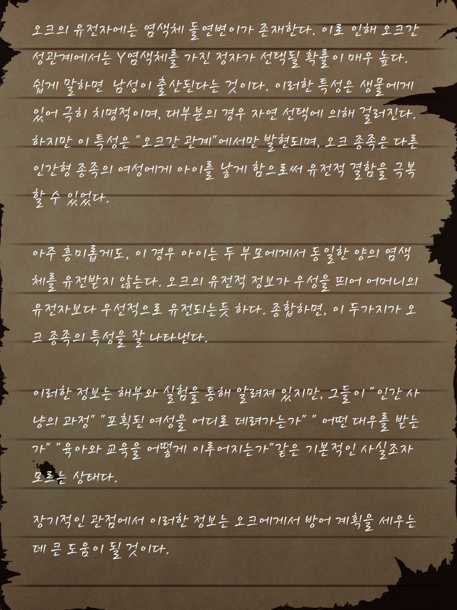 セージ・ラビニアの最後のメモ〜オーク砦の廃墟で〜