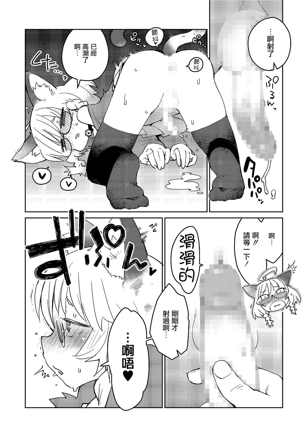 ミックスキャット