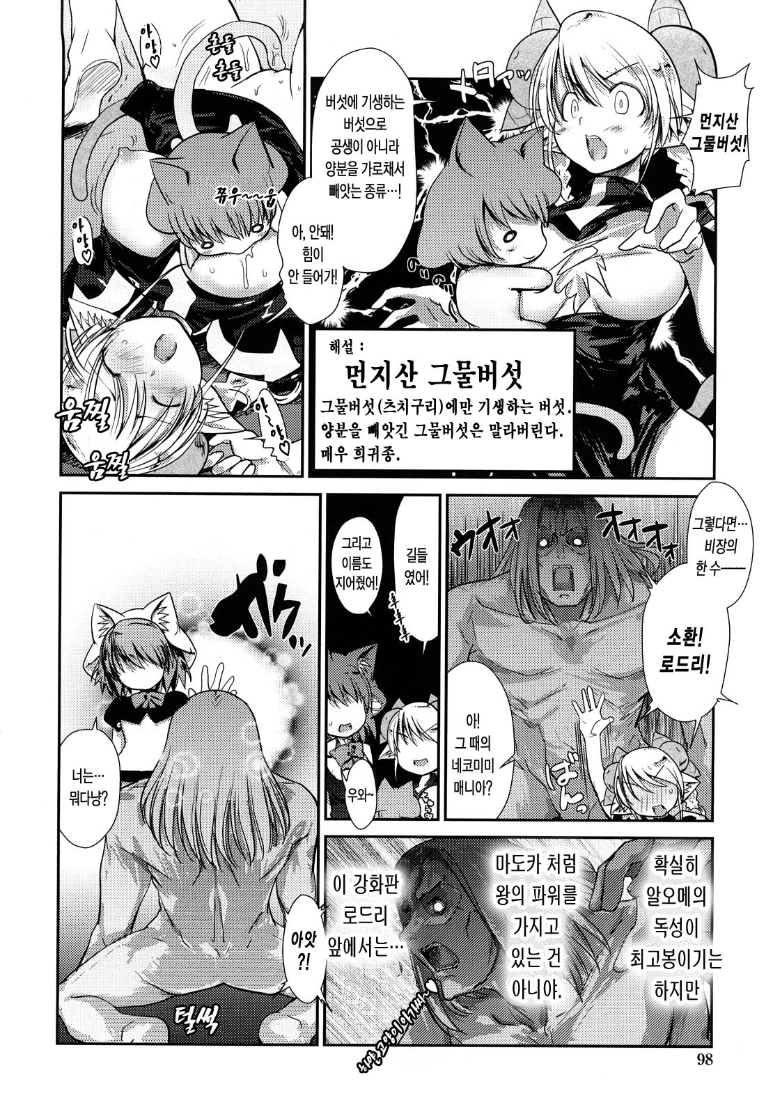 ねこきのと雨の町