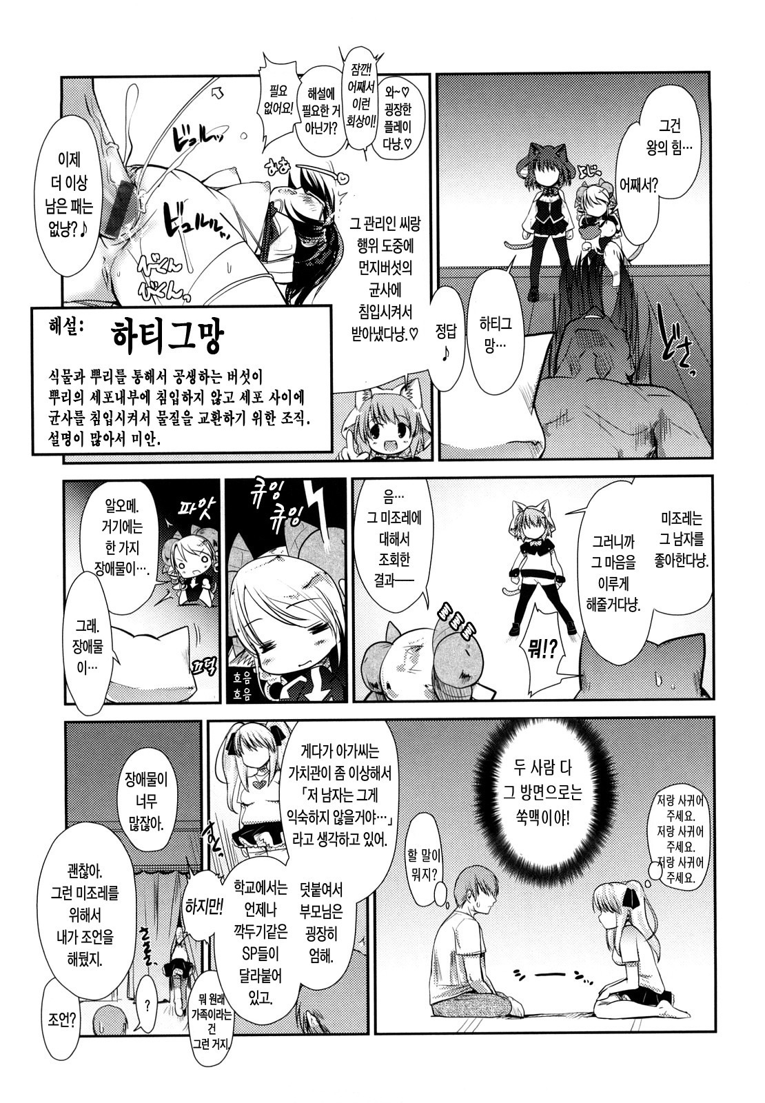 ねこきのと雨の町