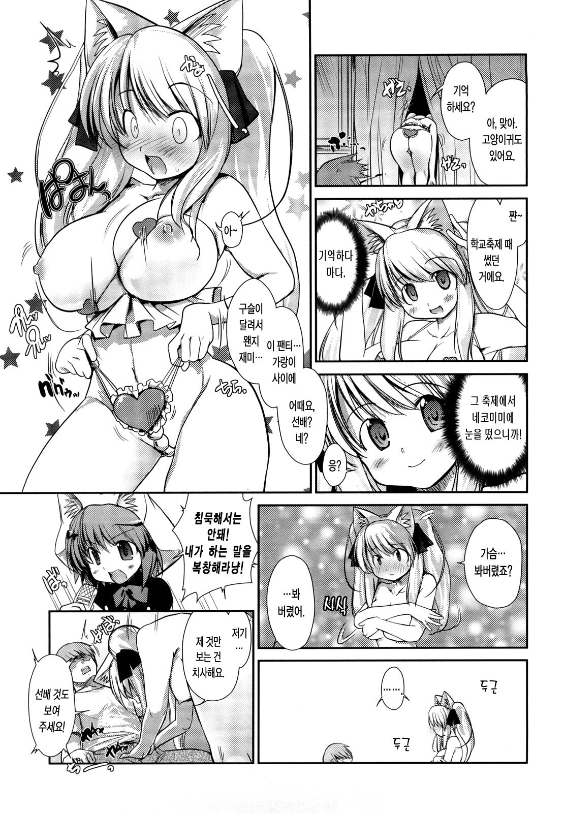 ねこきのと雨の町