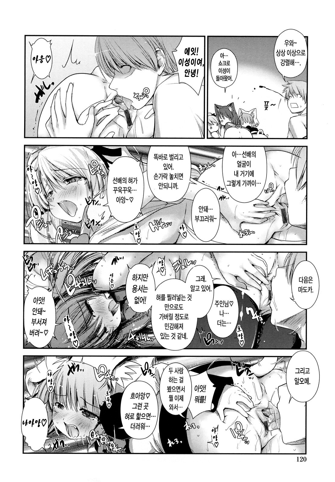 ねこきのと雨の町