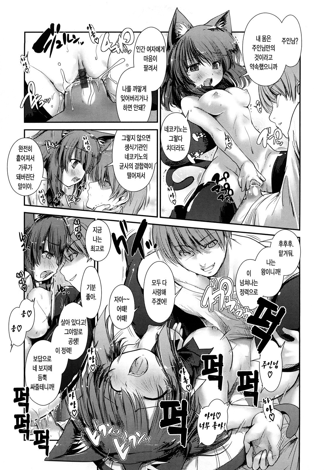 ねこきのと雨の町