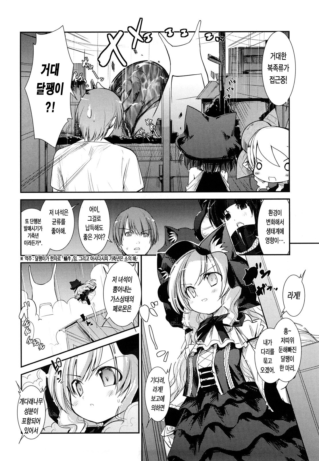 ねこきのと雨の町