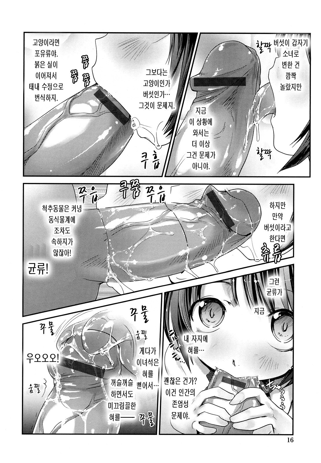 ねこきのと雨の町