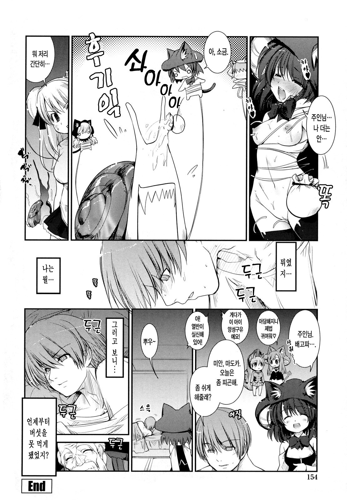 ねこきのと雨の町