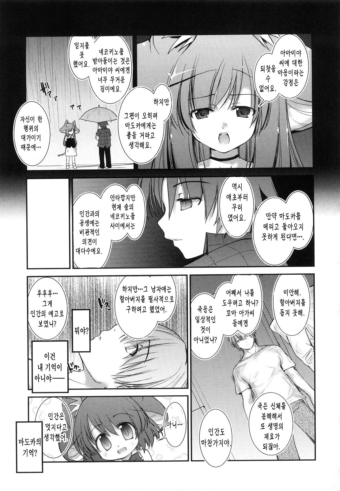 ねこきのと雨の町