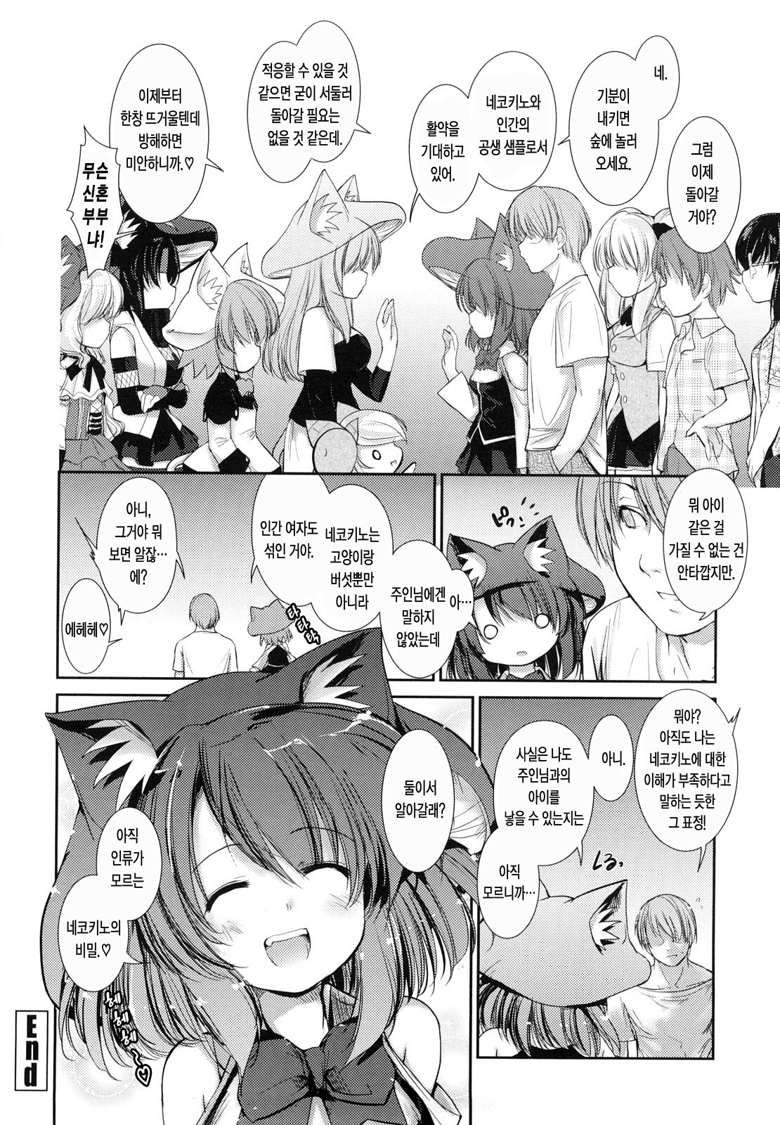 ねこきのと雨の町