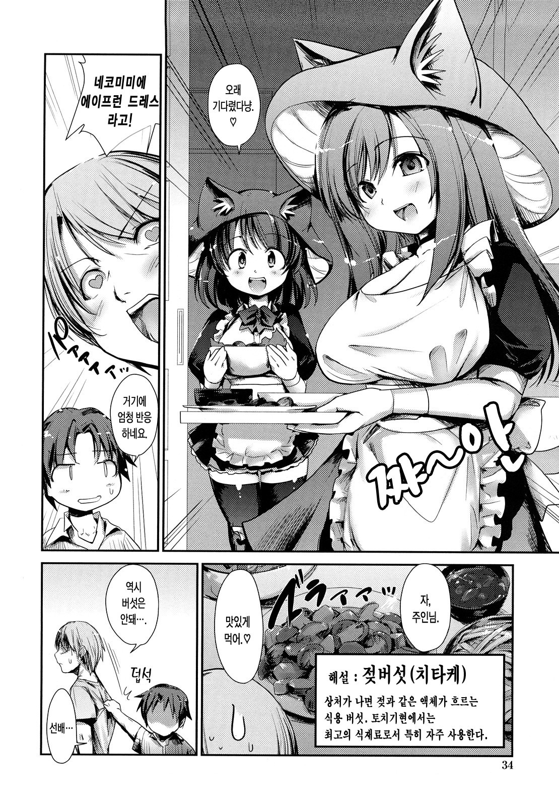 ねこきのと雨の町