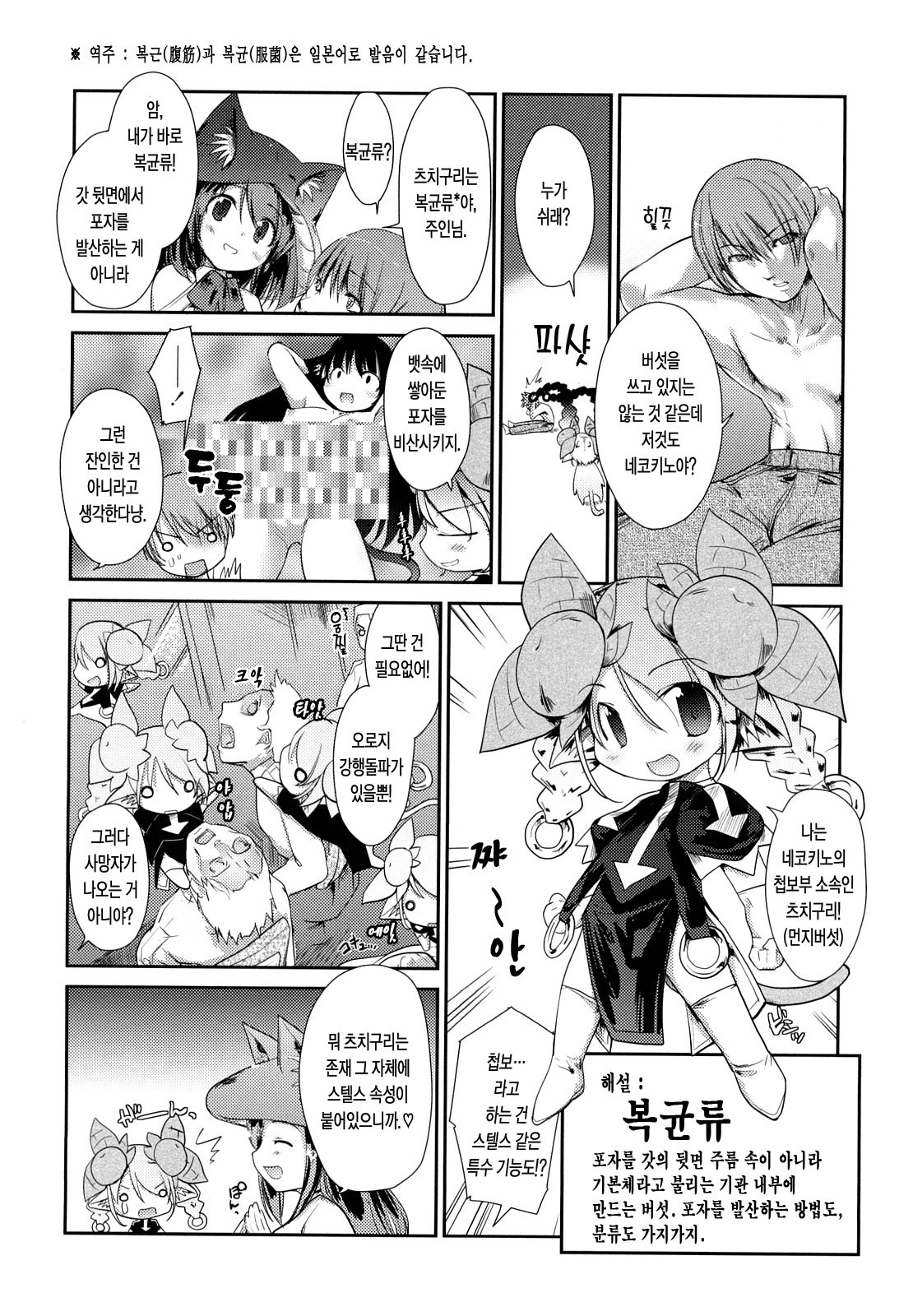 ねこきのと雨の町