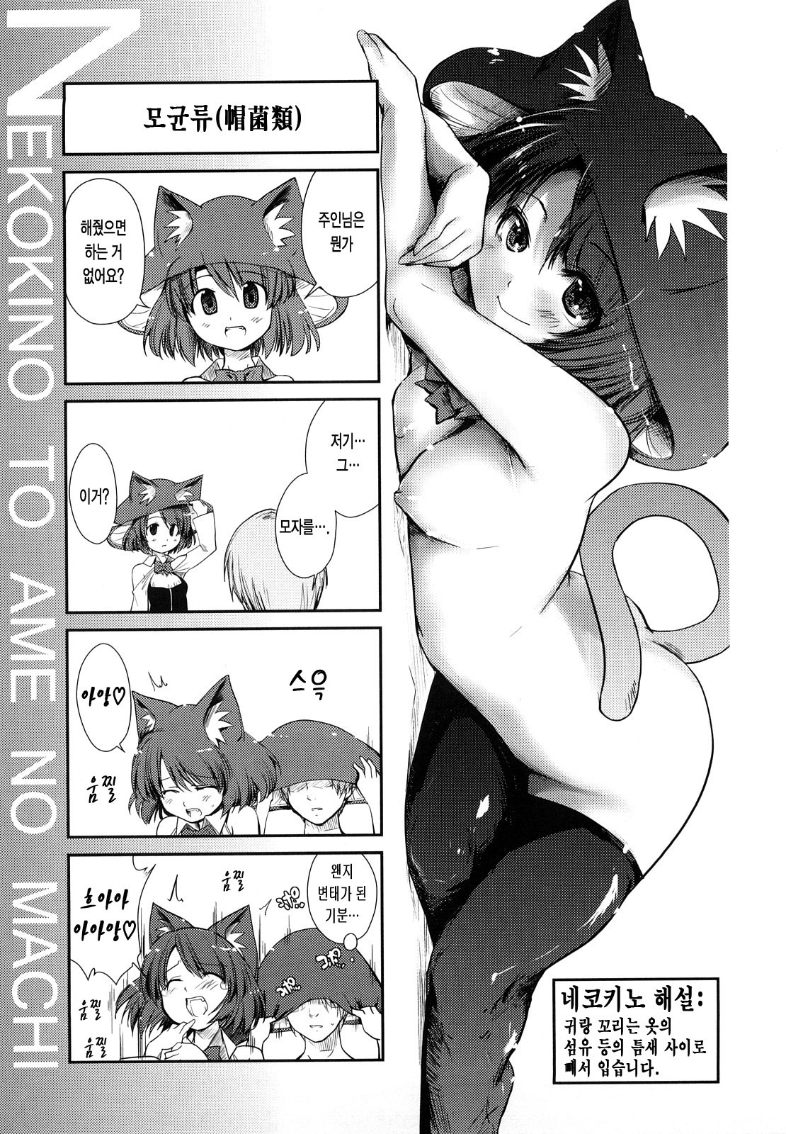 ねこきのと雨の町