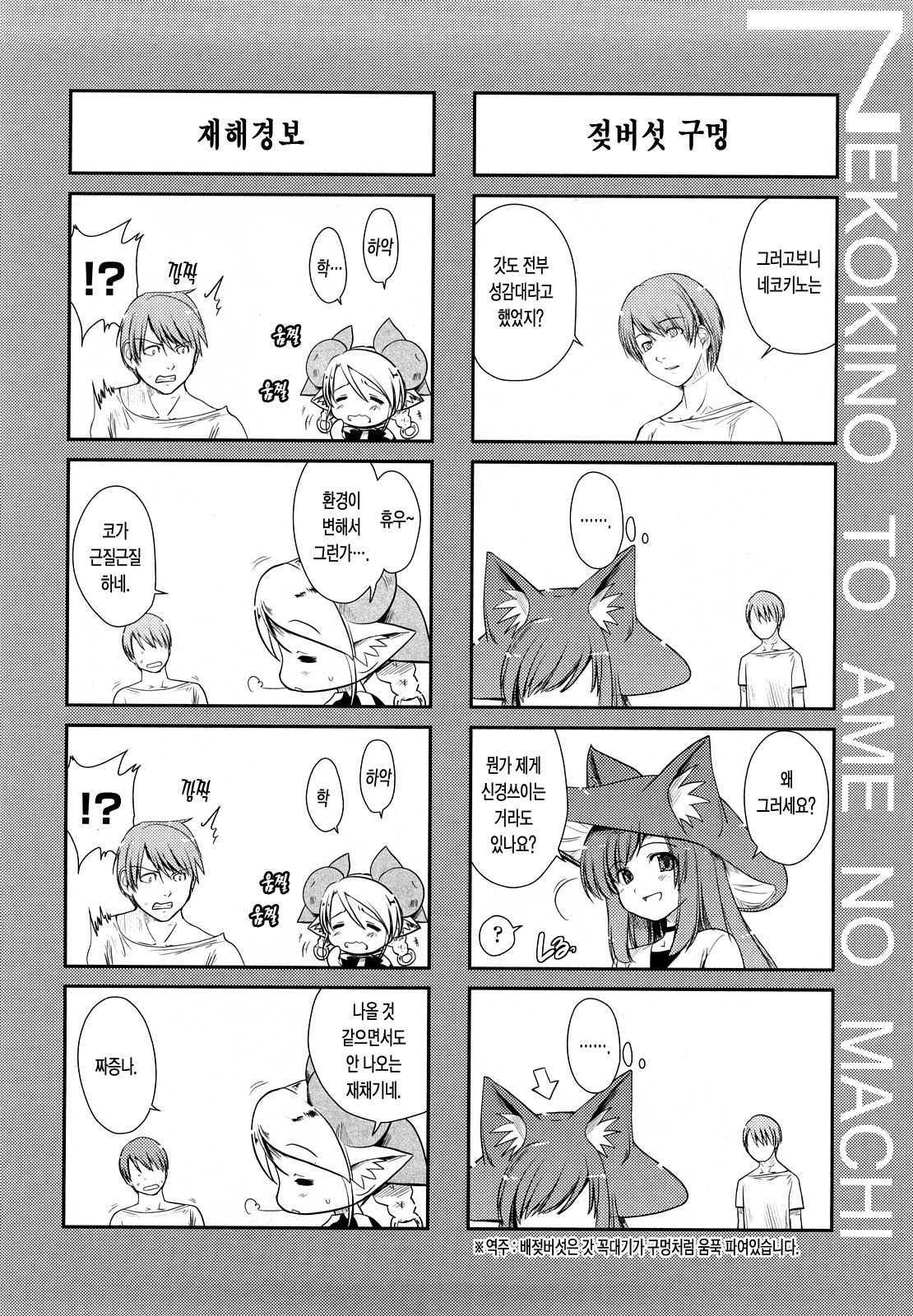 ねこきのと雨の町