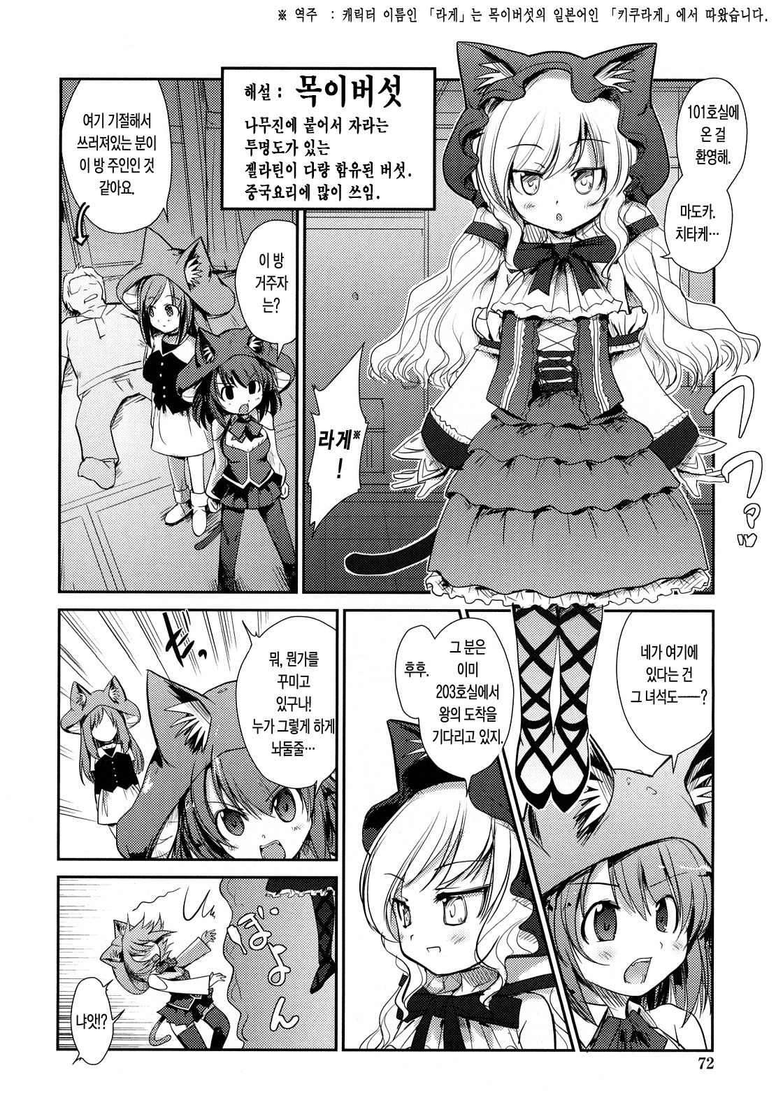 ねこきのと雨の町