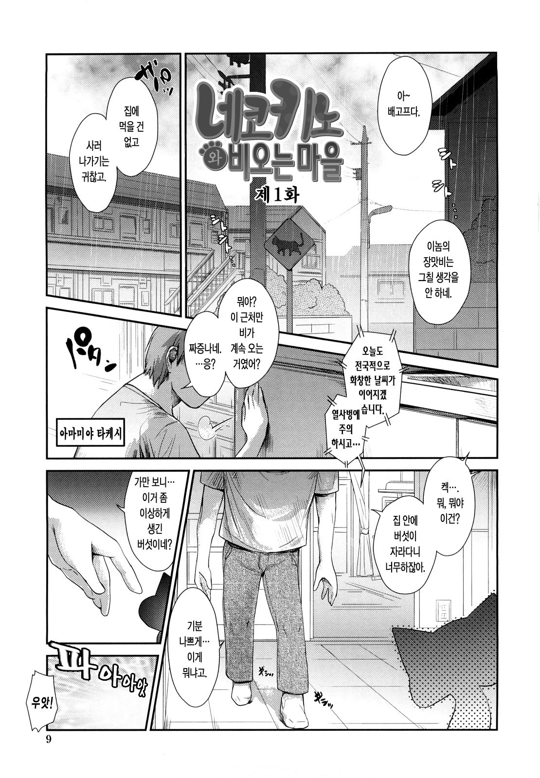 ねこきのと雨の町