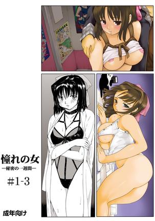 あこがれのひと-ひみつのいしゅうかん-＃1-3