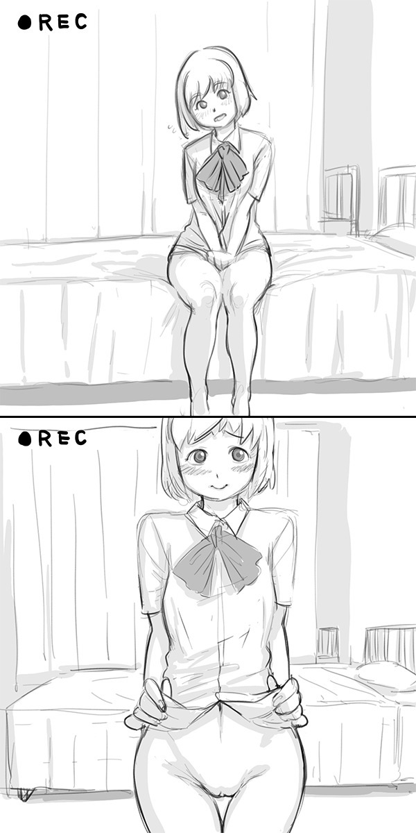 Dch.1-4のスキーム