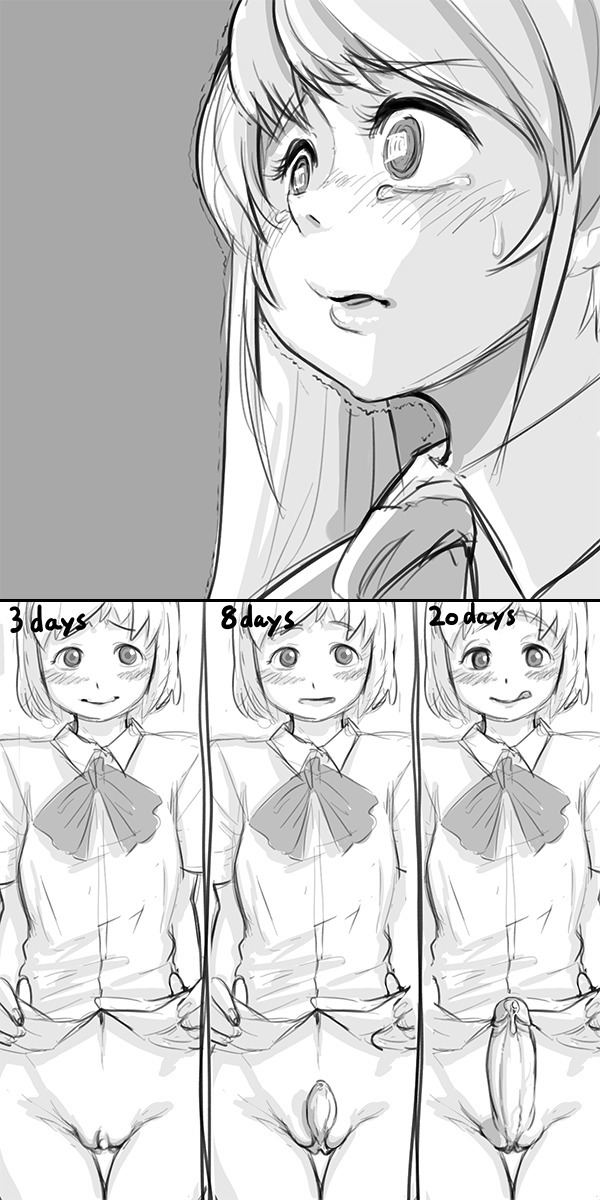 Dch.1-4のスキーム