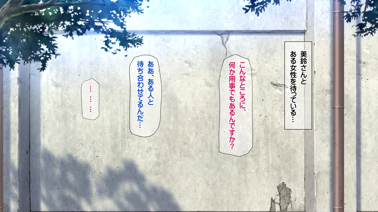 西京のはらませ京香書十星たねつけかんりょう