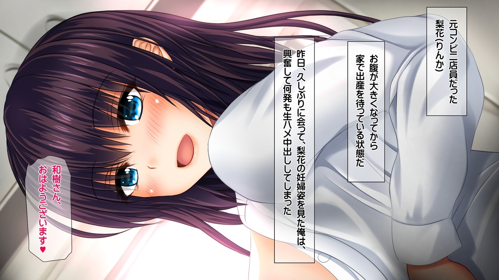 西京のはらませ京香書十星たねつけかんりょう