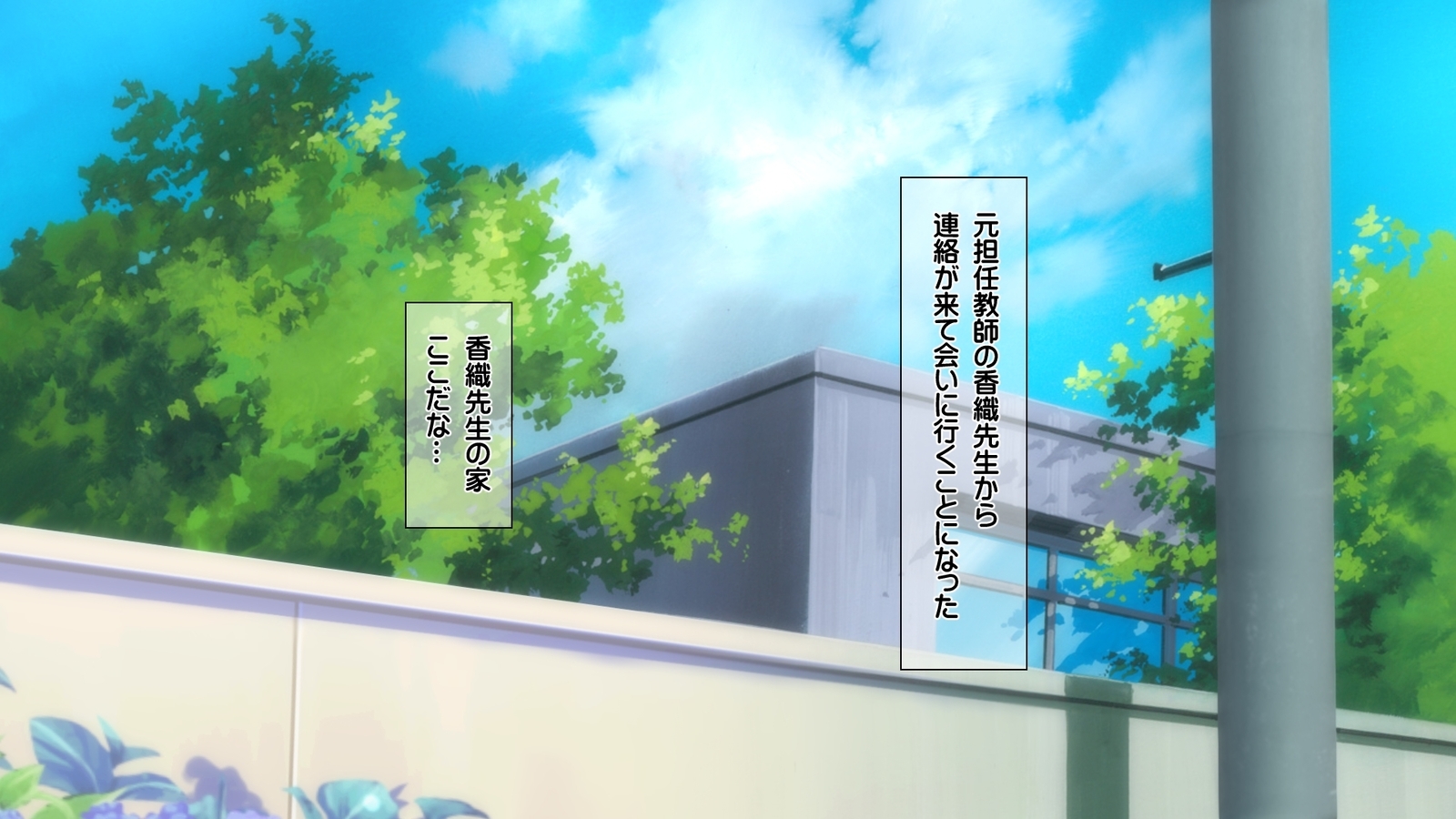 西京のはらませ京香書十星たねつけかんりょう