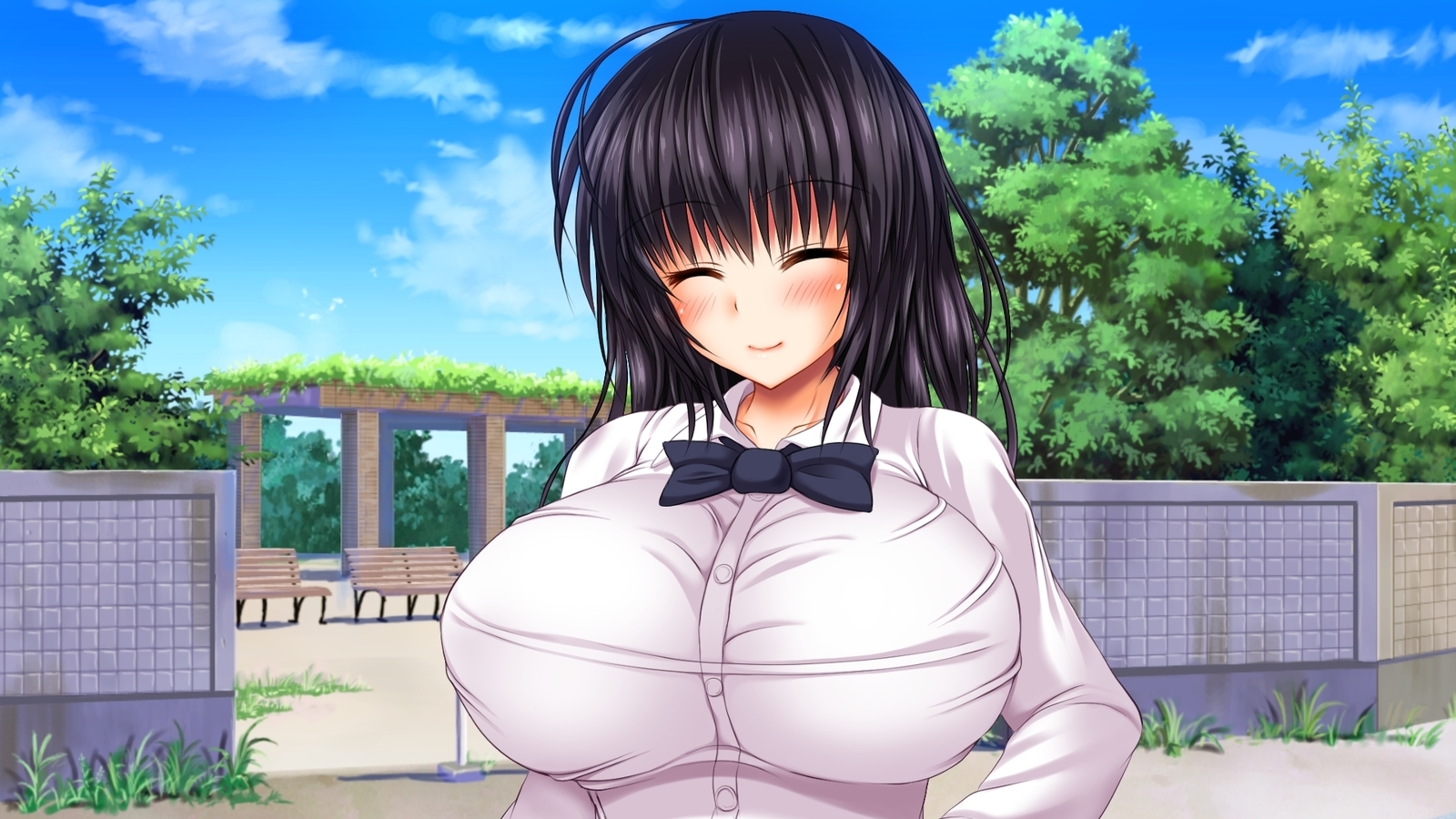 西京のはらませ京香書十星たねつけかんりょう