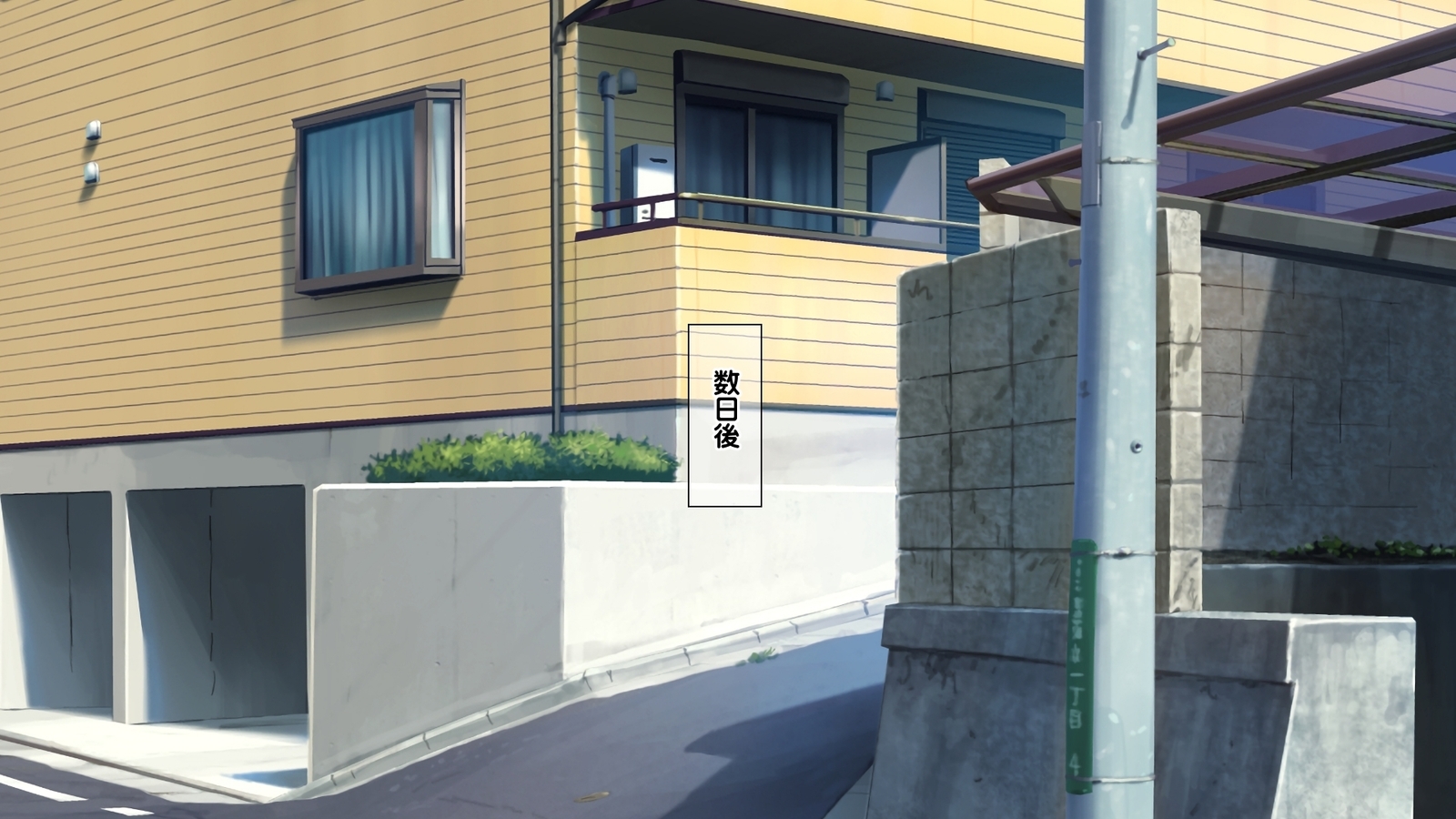 西京のはらませ京香書十星たねつけかんりょう