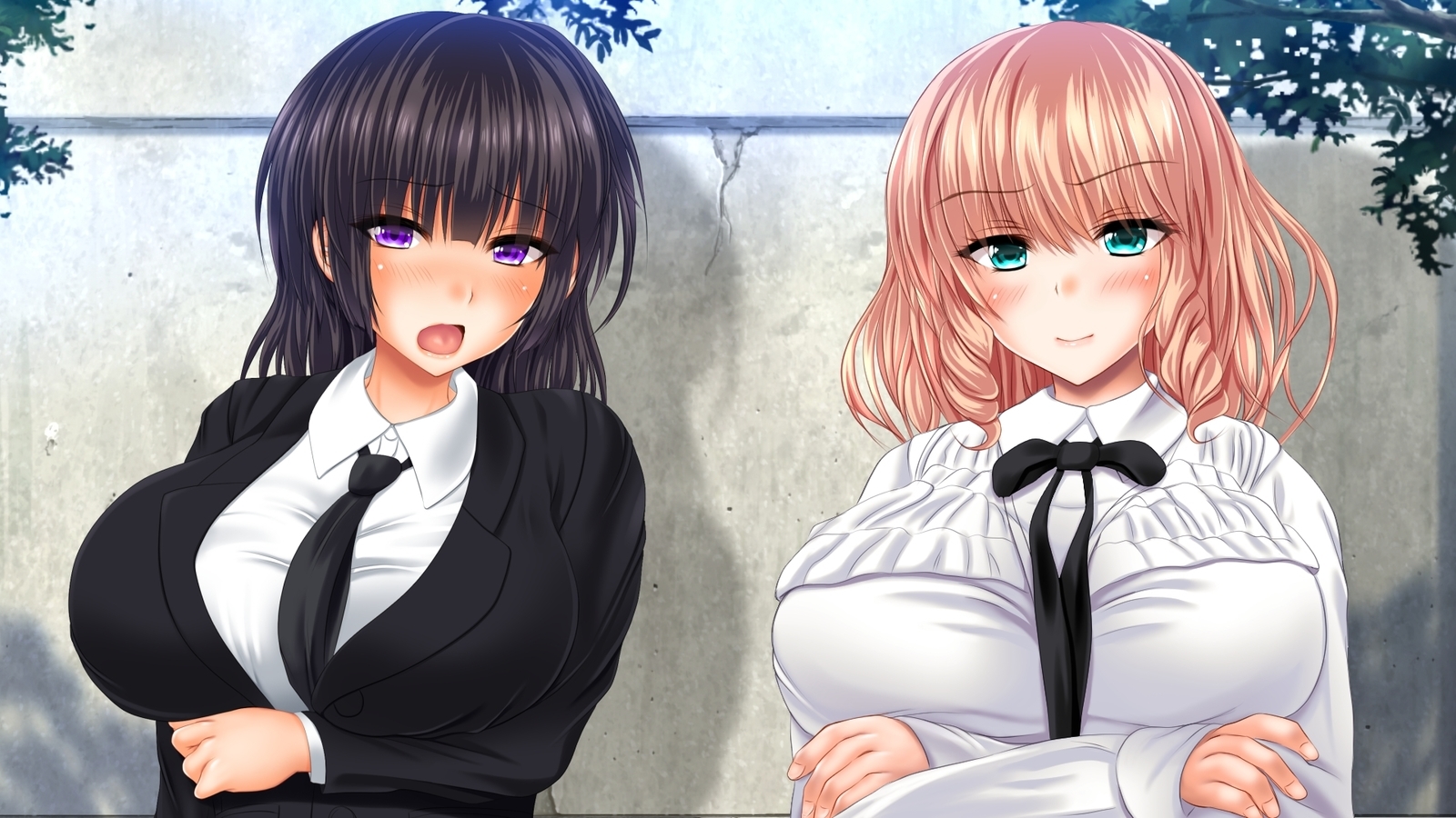 西京のはらませ京香書十星たねつけかんりょう