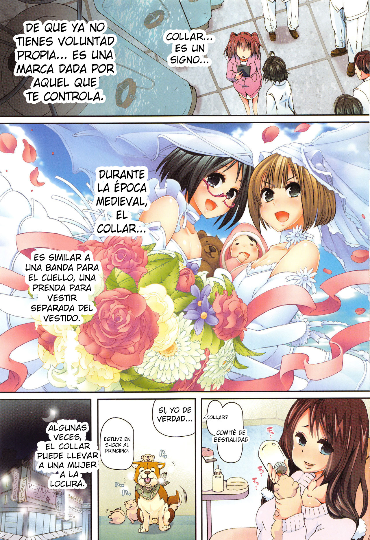 十刊協会-*****クラス