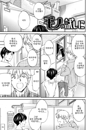 ものはためしに