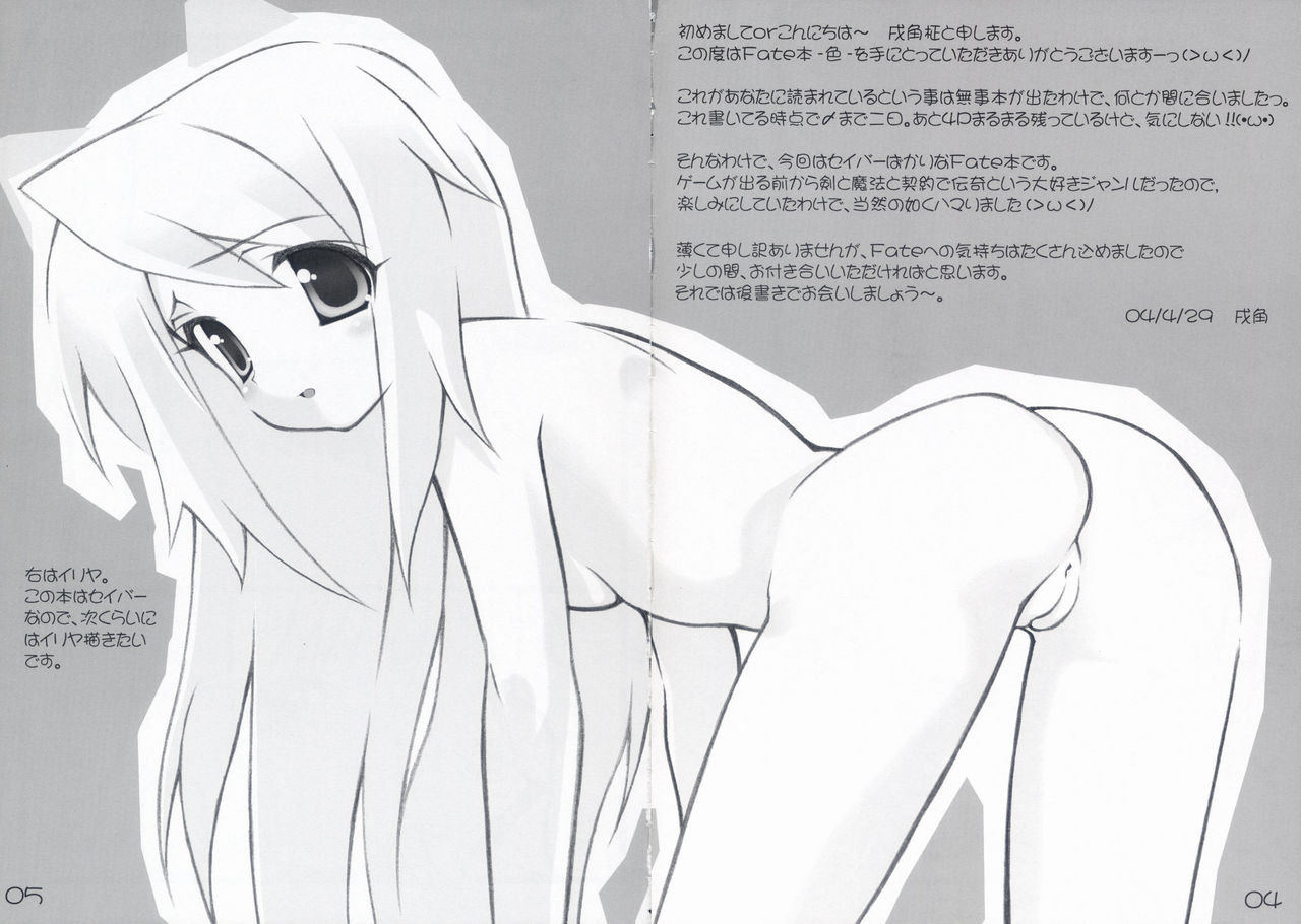 (Cレヴォ35) [ニュートンの林檎 (戌角柾)] -色- (Fate/stay night)