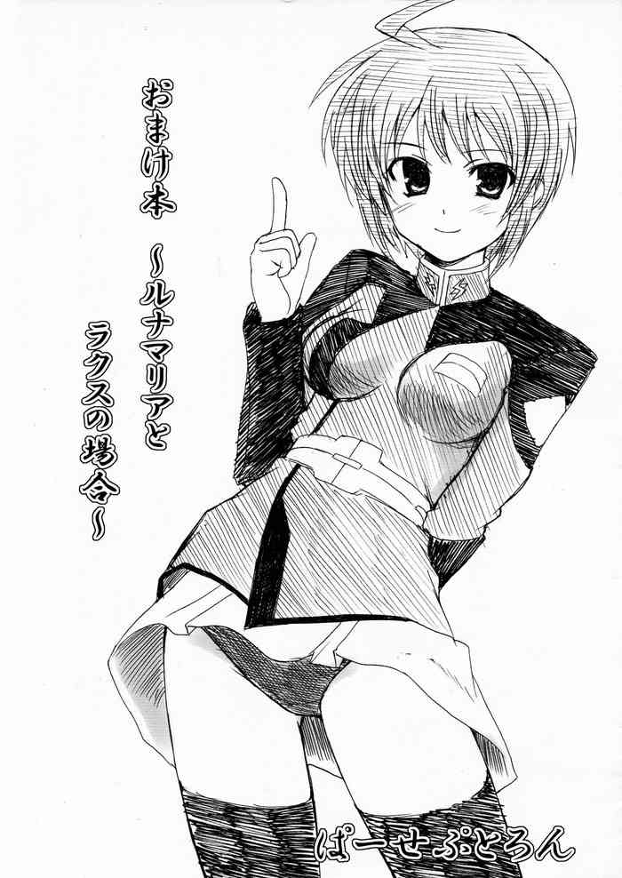 (C68) [ぱーせぷとろん (浅賀葵)] おまけ本 ～ルナマリアとラクスの場合～ (機動戦士ガンダムSEED DESTINY)